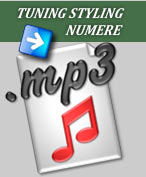Tuning Styling mp3 numere